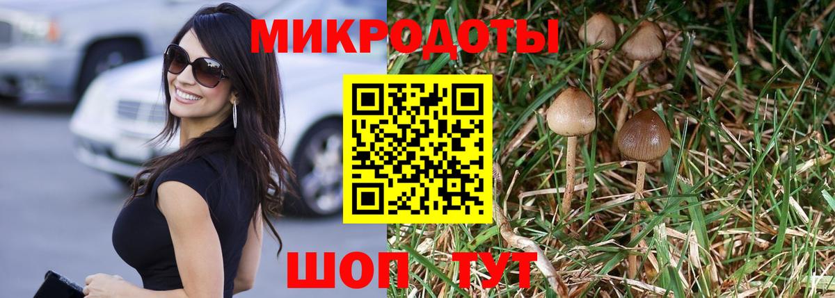 Псилоцибиновые грибы мухоморы  Псилоцибиновые грибы GOLDEN TEACHER  Вход с VPN  Ипатово 